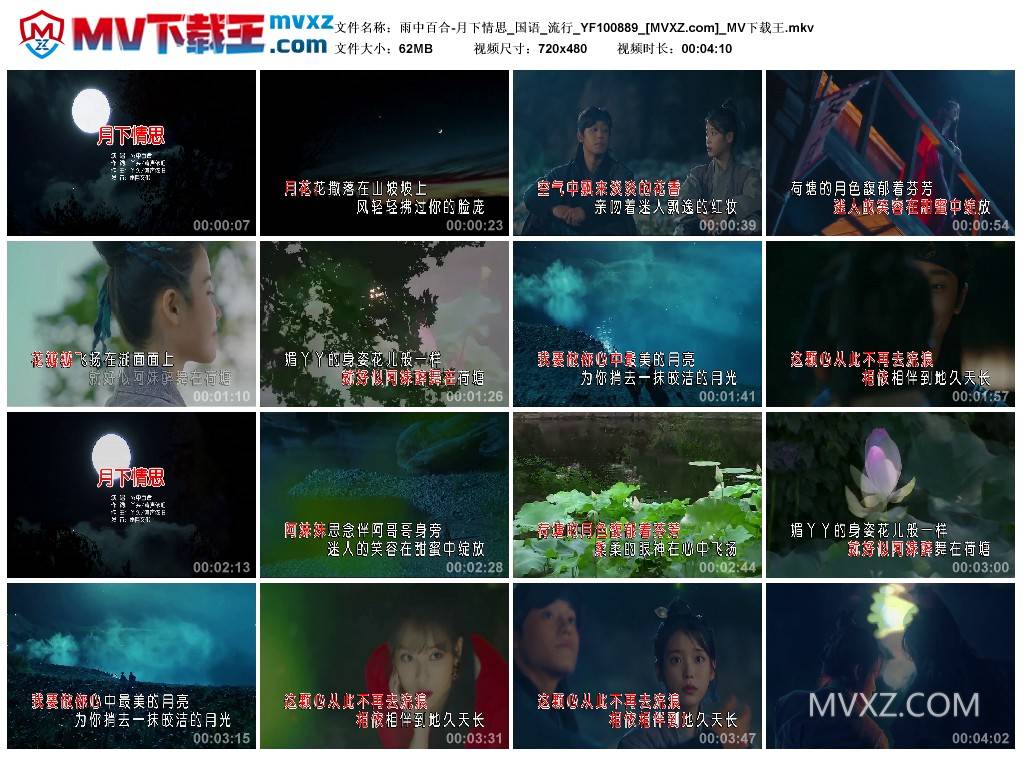 雨中百合-月下情思_国语_流行_YF100889